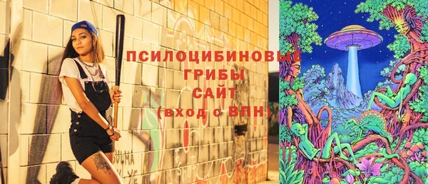 дурь Абаза