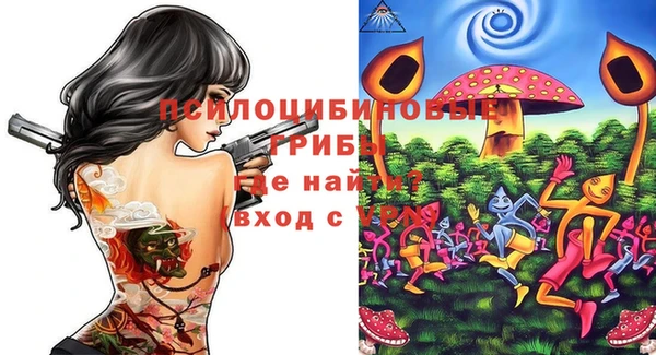 дурь Абаза