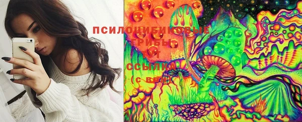 крисы Абинск