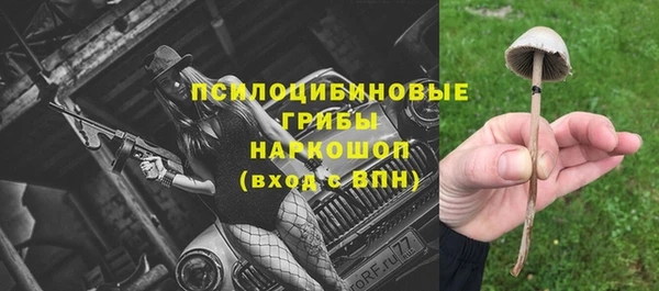 трава Россошь