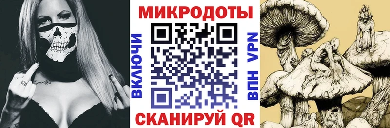 блэк спрут как зайти  Вилюйск  Галлюциногенные грибы MAGIC MUSHROOMS 